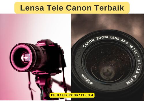 Rekomendasi Lensa Tele Canon Terbaik Untuk DSLR Dan Mirrorless